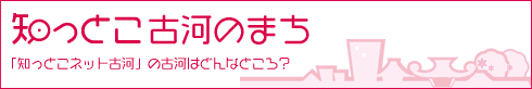 �ŲϻԤäƤɤ�ʤȤ�����
