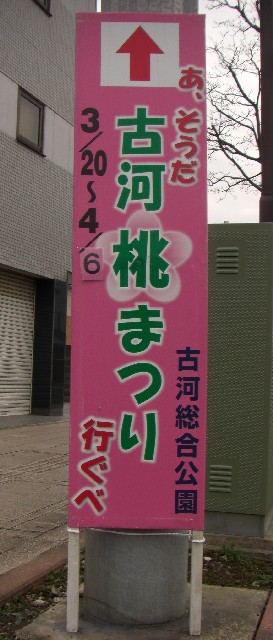 IJCC`