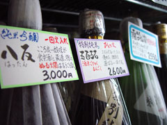 nty03pcard.jpg