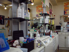 utk05shop_in.jpg